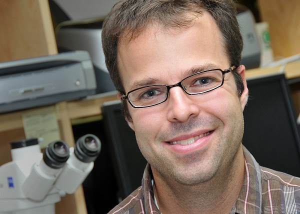 Fran&ccedil;ois Bachand