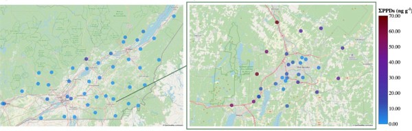 Les concentrations de PPD mesur&eacute;es dans le sud du Qu&eacute;bec et pr&egrave;s de Sherbrooke.