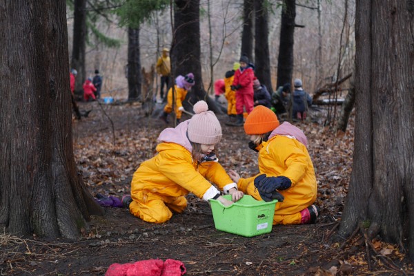 Aux racines de l'&eacute;ducation, l'image laur&eacute;ate du Prix du public D&eacute;couverte et du Prix du jury Humains-Nature.