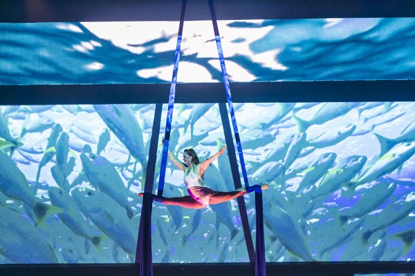 Une acrobate a&eacute;rienne offrait un num&eacute;ro &agrave; couper le souffle lors de l'hommage &agrave; la Grande Ambassadrice.