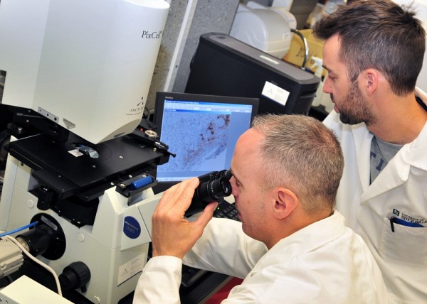 Le professeur Gobeil analyse un &eacute;chantillon de tumeurs humaines au microscope sous l&rsquo;&oelig;il vigilant de J&eacute;r&ocirc;me C&ocirc;t&eacute;.