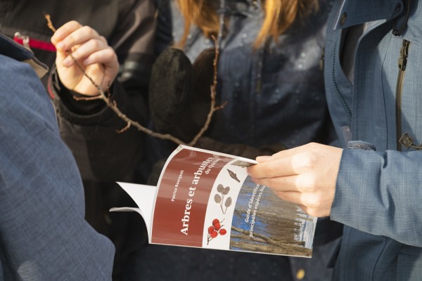 &Eacute;tudiants consultant le livre&nbsp;&laquo;&nbsp;Arbres et arbustes du Qu&eacute;bec&nbsp;: Guide d&rsquo;identification des principales esp&egrave;ces feuillues en hiver&nbsp;&raquo; pour identifier une esp&egrave;ce v&eacute;g&eacute;tale.