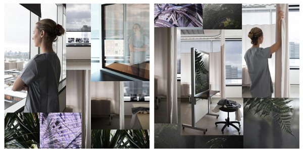 Transition, &eacute;cosyst&egrave;me et recommencement