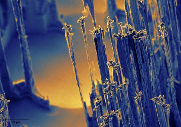 Image de Ahmed Chakroun, intitul&eacute;e Gravure alla Giacometti