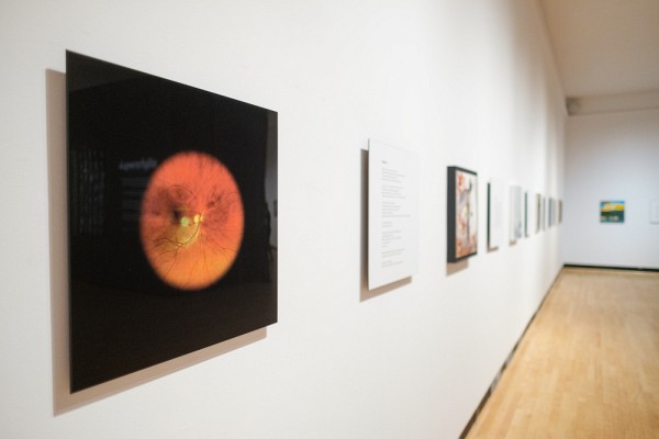 &OElig;uvre de S&eacute;bastien Pesot, charg&eacute; de cours &agrave; l&rsquo;UdeS