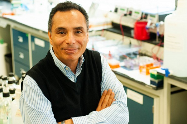 Le professeur Sherif Abou Elela