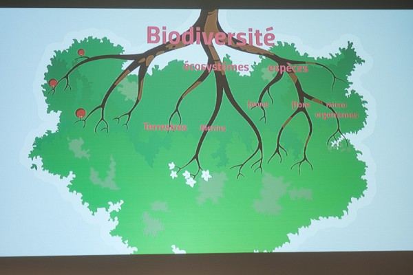 Les travaux ayant men&eacute; &agrave; la cr&eacute;ation de ce glossaire ont fait l'objet de pr&eacute;sentations jeudi dernier, &agrave; l'Agora du Carrefour de l'information de l'Universit&eacute; de Sherbrooke.