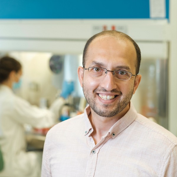 Professeur Ayman Oweida