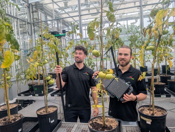 Le projet dans les serres