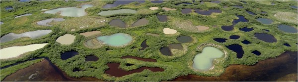Les lacs de thermokarst atteignent jusqu&rsquo;&agrave; une trentaine de m&egrave;tres de diam&egrave;tre, comme celui, dans les teintes de bleu et de vert, au centre de cette photo prise dans la r&eacute;gion d&rsquo;Umiujaq, au Nunavik. Le diam&egrave;tre des plus petits tourne autour de&nbsp;5 &agrave; 10&nbsp;m&egrave;tres.