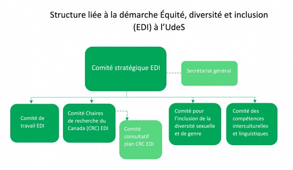 La structure li&eacute;e &agrave; la d&eacute;marche EDI &agrave; l'UdeS est repr&eacute;sent&eacute;e dans l'organigramme ci-dessus.