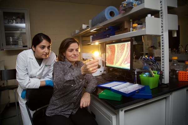 Avec son &eacute;quipe, la Pre&nbsp;&Egrave;ve Langelier, titulaire de la Chaire pour les femmes en sciences et en g&eacute;nie au Qu&eacute;bec, travaille &agrave; accro&icirc;tre la repr&eacute;sentation f&eacute;minine en sciences et en g&eacute;nie.