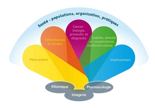 Les six th&egrave;mes porteurs et les trois piliers d'excellence de la recherche dans le r&eacute;seau universitaire de Sherbrooke.