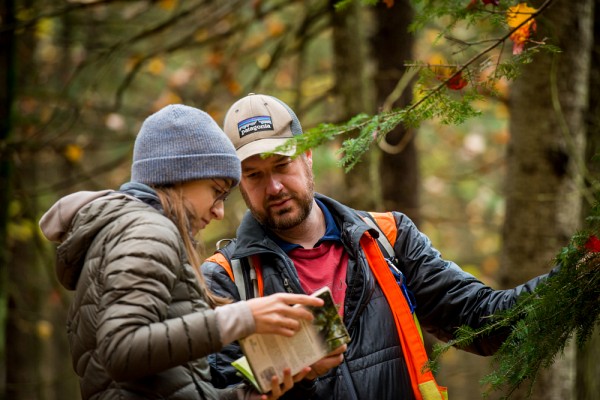 Plusieurs programmes de formation sp&eacute;cialis&eacute;s en d&eacute;veloppement durable ou en environnement, sont offerts &agrave; l'UdeS.
