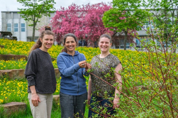Rosalie Hudon-Voyer, Rosalie L&eacute;onard et Elizabeth Cazeault forment un trio de sp&eacute;cialistes engag&eacute;es dans le groupe de travail Campus vivants.