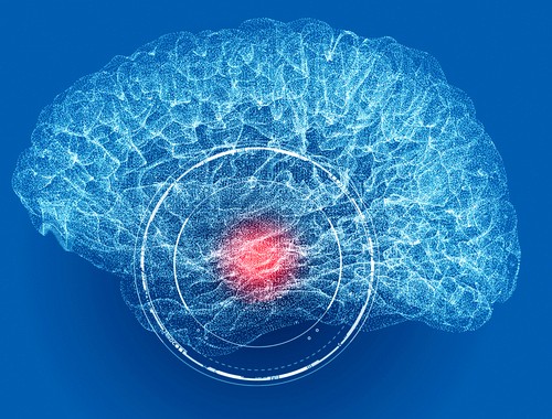 Zone locomotrice m&eacute;senc&eacute;phalique du cerveau