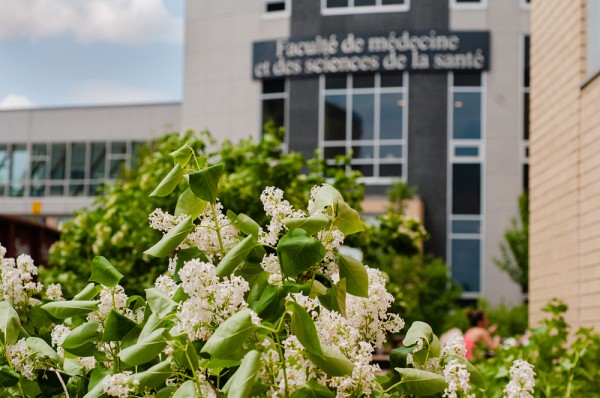 Diff&eacute;rentes actions sont men&eacute;es par la FMSS, tr&egrave;s engag&eacute;e sur le plan de la sant&eacute; autochtone.