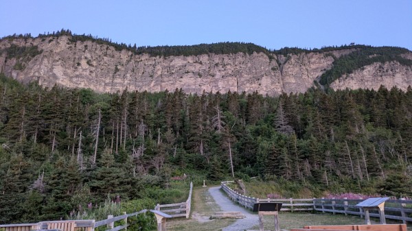 Le projet vise &agrave; r&eacute;pertorier les plantes rares et menac&eacute;es situ&eacute;es sur les falaises abruptes du parc national de Forillon.