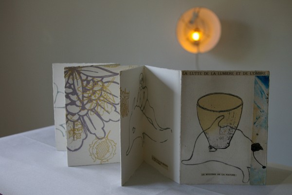 La cr&eacute;ation d&rsquo;un livre d&rsquo;artiste, seul ou avec des collaboratrices et des collaborateurs, est au programme; il sera alors possible d&rsquo;y m&ecirc;ler arts visuels, arts appliqu&eacute;s, nouvelles technologies et cr&eacute;ation litt&eacute;raire (po&eacute;sie, r&eacute;cit, carnet de voyage, etc.).