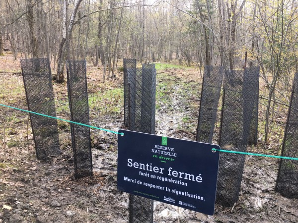 Les milieux naturels sont essentiels &agrave; notre &eacute;quilibre, de l&agrave; l'importance d'investir des efforts pour les pr&eacute;server.