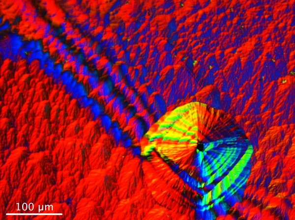 David Roy-Guay, &eacute;tudiant au D&eacute;partement de physique de la Facult&eacute; des sciences, est finaliste avec son image Microtombeau de lumi&egrave;re.