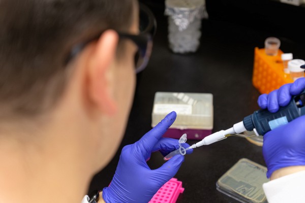 L'exp&eacute;rience s'est av&eacute;r&eacute;e enrichissante et hautement formatrice pour les personnes &eacute;tudiantes y ayant particip&eacute;.