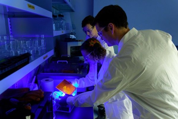 Leur d&eacute;couverte permet d&rsquo;&eacute;radiquer des bact&eacute;ries intestinales nocives &agrave; l&rsquo;aide de &laquo;&nbsp;bonnes&nbsp;&raquo; bact&eacute;ries arm&eacute;es de couteaux g&eacute;n&eacute;tiques. 