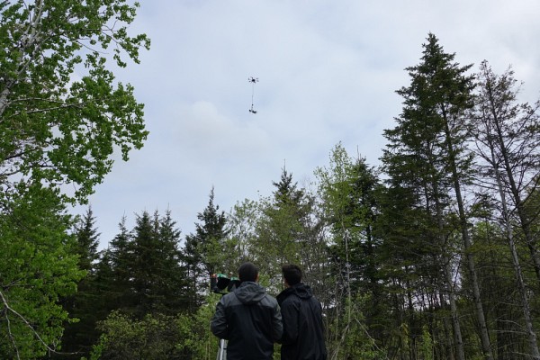 Les propri&eacute;t&eacute;s physiques des feuilles sont diff&eacute;rentes selon leur emplacement dans l'arbre, d'o&ugrave; l'importance de cette technologie.Photo d&rsquo;archives, prise avant l'entr&eacute;e en vigueur des mesures sociosanitaires actuelles.&nbsp;