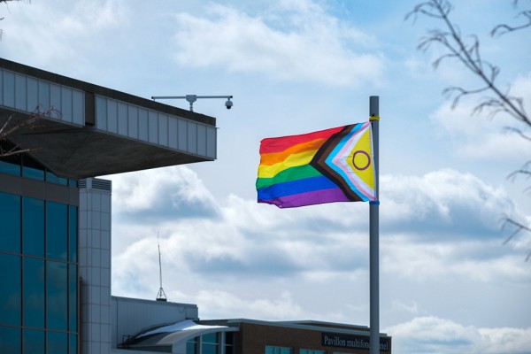 Le drapeau de la diversit&eacute; flotte toute la semaine devant le pavillon central du Campus principal.