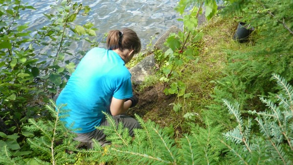 Au cours du premier stage de son baccalaur&eacute;at en &eacute;cologie, Rapha&euml;lle avait pour objectif de rev&eacute;g&eacute;taliser les rives des cours d'eau de la r&eacute;gion de Shawinigan.