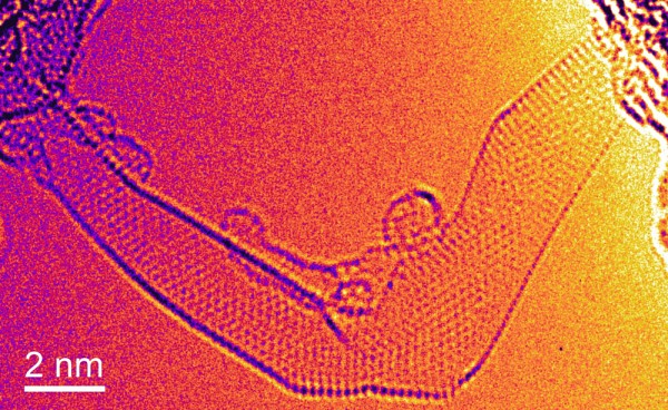 Figure 1 - L&eacute;gende compl&egrave;te au bas du texte