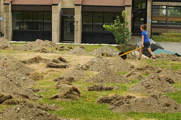 Le terrain avait &eacute;t&eacute; pr&eacute;par&eacute; &agrave; l'avance pour acc&eacute;l&eacute;rer la plantation des arbres.