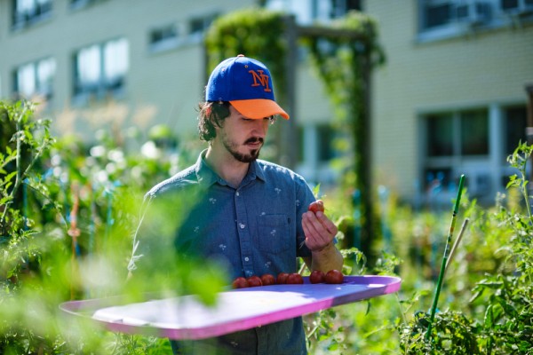Depuis 2009, le jardin collectif est ouvert &agrave; toute la communaut&eacute; universitaire d&eacute;sireuse d'y travailler.&nbsp;