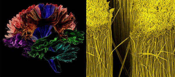 L'an dernier, deux images de l'UdeS avaient remport&eacute; les grands honneurs.