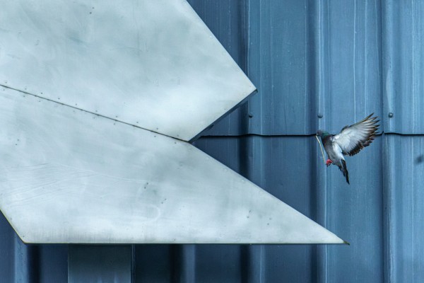 L'une des photos de l'exposition en biodiversit&eacute; sign&eacute;e Michel Caron, organis&eacute;e dans&nbsp;le cadre de Vivants de nature