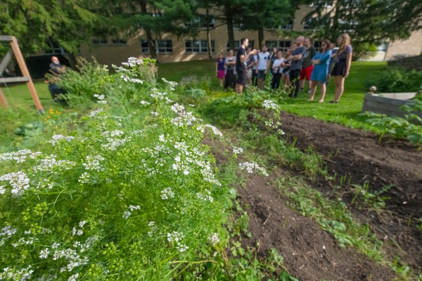 Le jardin historique de l'UdeS, au Campus principal.