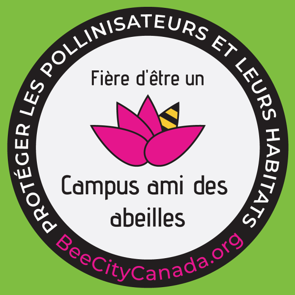 L'UdeS s'engage en faveur de la protection des pollinisateurs et de leurs habitats.