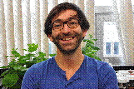 Louis‐Valentin Meteignier