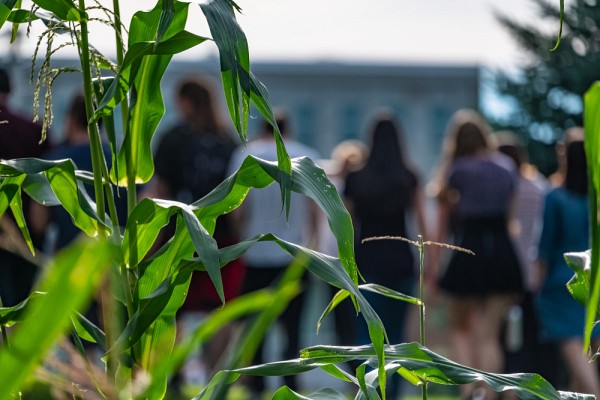 De nombreuses initiatives ont cours &agrave; l'UdeS depuis quelques ann&eacute;es pour int&eacute;grer les savoirs, r&eacute;alit&eacute;s et perspectives autochtones, notamment dans le cadre d'activit&eacute;s p&eacute;dagogiques.