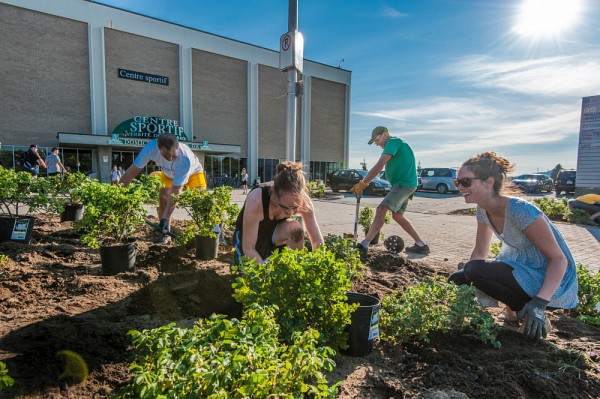 La plantation d'arbres sur les campus est l'une des initiatives UdeS contribuant &agrave; l'excellente performance de l'institution au classement GreenMetric.