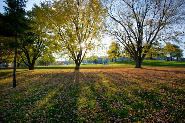 Une premi&egrave;re pour l'UdeS : elle figure cette ann&eacute;e dans le r&eacute;pertoire des campus durables publi&eacute; annuellement par l&rsquo;organisme responsable de la certification STARS, l'Association for the Advancement of Sustainability in Higher Education.