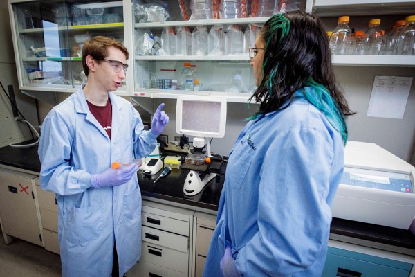 Ce sont les &eacute;tudiantes et &eacute;tudiants qui r&eacute;alisent une grande partie de la recherche, sous la supervision des chercheuses et chercheurs.