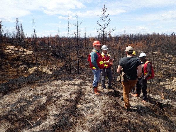 Les ing&eacute;nieurs forestiers se rencontrent pour faire &eacute;tat des impacts du feu, juin 2017