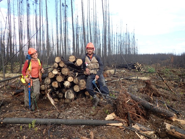 Charlotte Smetanka, &eacute;tudiante &agrave; la ma&icirc;trise, et Charles Cambier, stagiaire, sur le site du feu &eacute;tudi&eacute;, alors que la r&eacute;colte des bois br&ucirc;l&eacute;s a d&eacute;but&eacute;, ao&ucirc;t 2017