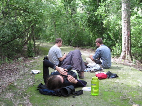 Pour observer les singes, les &eacute;tudiants doivent s'installer au sol et utiliser des jumelles.