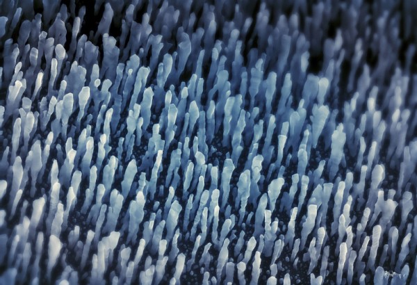 Redouane Amrar, &eacute;tudiant au doctorat &agrave; la Facult&eacute; de g&eacute;nie et membre de l'Institut quantique ainsi que de l'Institut interdisciplinaire d'innovation technologique, est finaliste gr&acirc;ce &agrave; son image Tentacules quantiques.