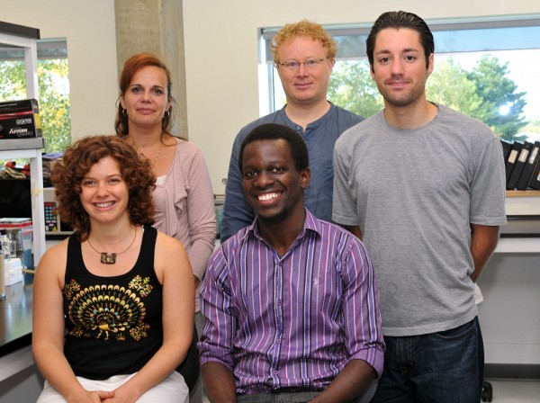 &Agrave; l'avant,&nbsp;Emmanuelle Wilhelm,&nbsp;Isaac Nzaramba et&nbsp;Alex Magdzinski; et &agrave;&nbsp;l'arri&egrave;re, la professeure Nancy Dumais et le professeur&nbsp;Brendan Bell ont pris part &agrave; cette recherche.