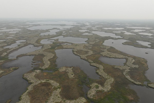 Une vue a&eacute;rienne de la r&eacute;gion des basses terres de la baie d'Hudson.