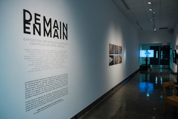 Les 28 artistes, mentionn&eacute;s sur le panneau explicatif de l'exposition, ont appr&eacute;ci&eacute; pouvoir travailler leurs &oelig;uvres dans un atelier, en pr&eacute;sentiel.