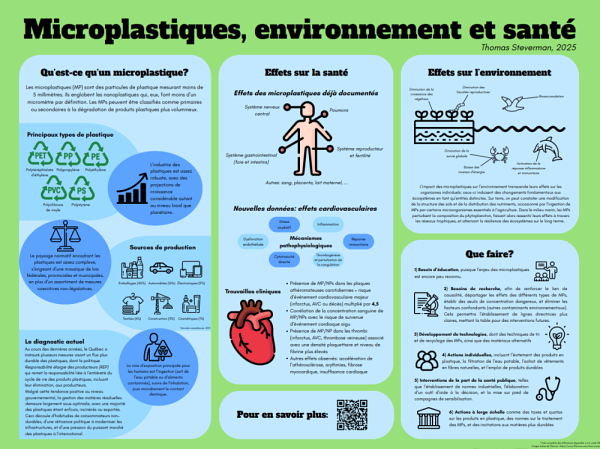 Affiche synth&egrave;se du projet d'int&eacute;gration de Thomas sur les microplastiques.